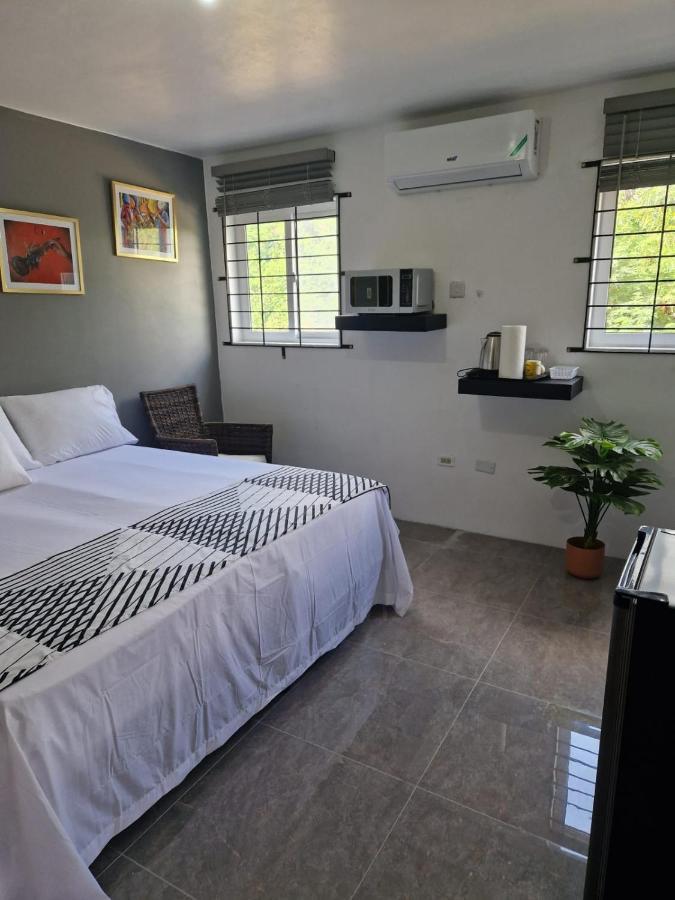 Amharic Hotel Kingston Eksteriør billede